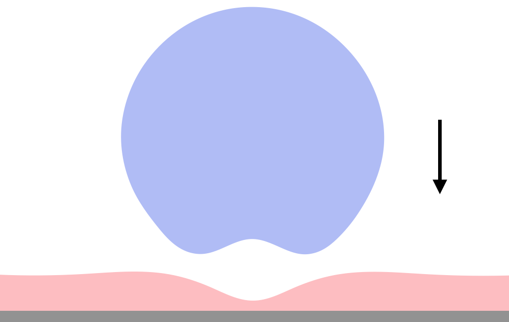 Poulain2022_drop.png