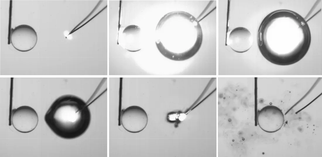 High-speed image sequence: a cavitation bubble grows next to a sphere and pushes it away, then collapses and draws the sphere back toward it